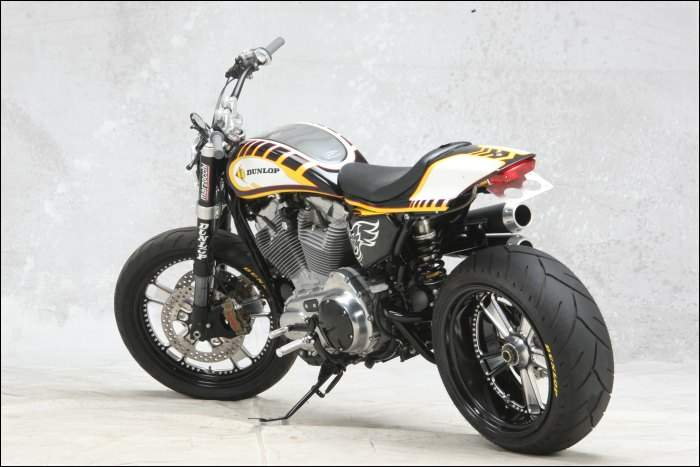 Sportster single store sided swingarm